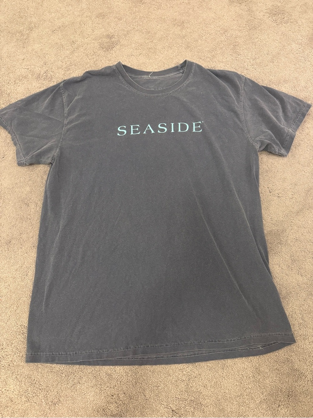 The seaside style short sleeve t shirt gray size large